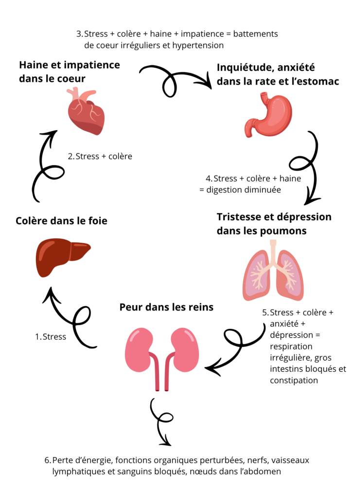 Qu'est-ce que le chi nei tsang